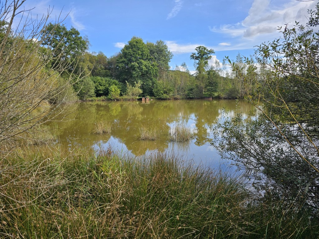 ETANG AVEC CABANE BOIS - MONTSAUCHE LES SETTONS