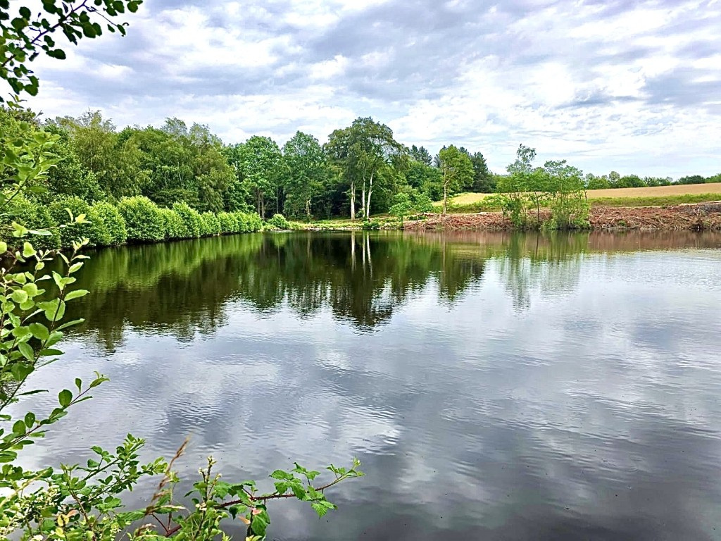 ETANG ET TERRAIN - 3HA - SAINT DIDIER